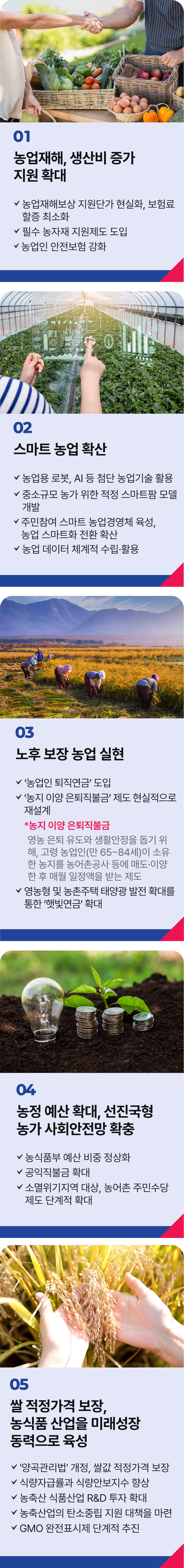 공약 이미지