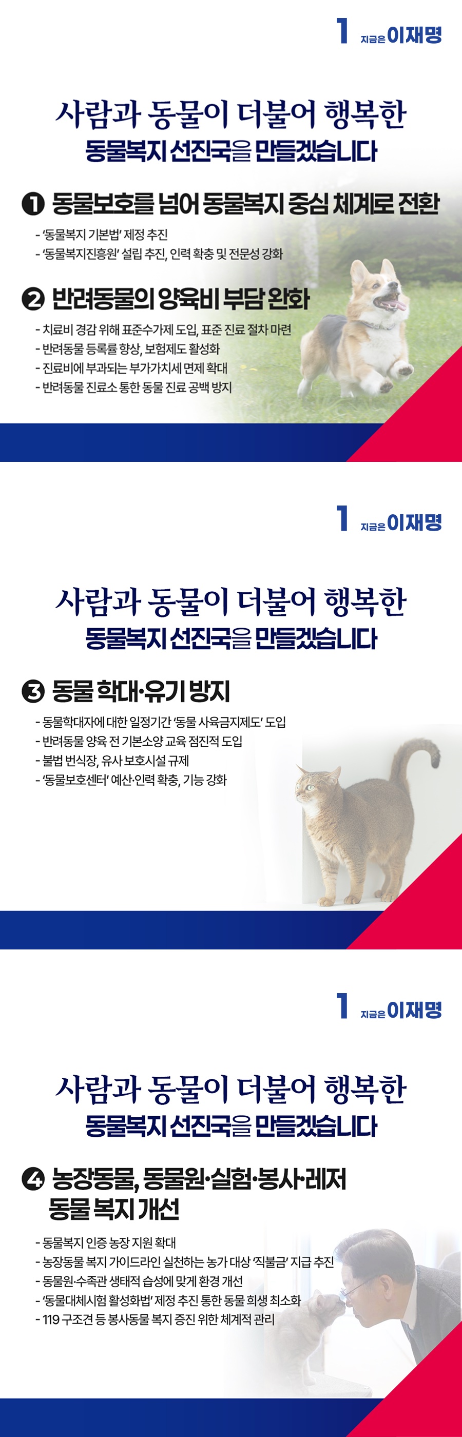 공약 이미지