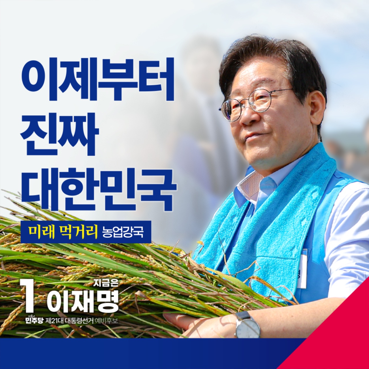 공약 이미지