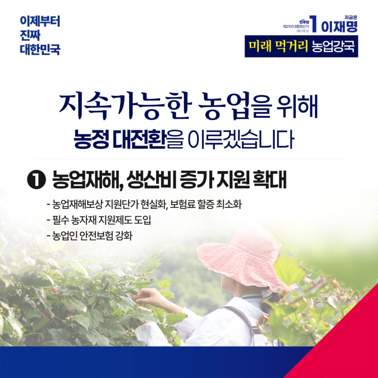 공약 이미지