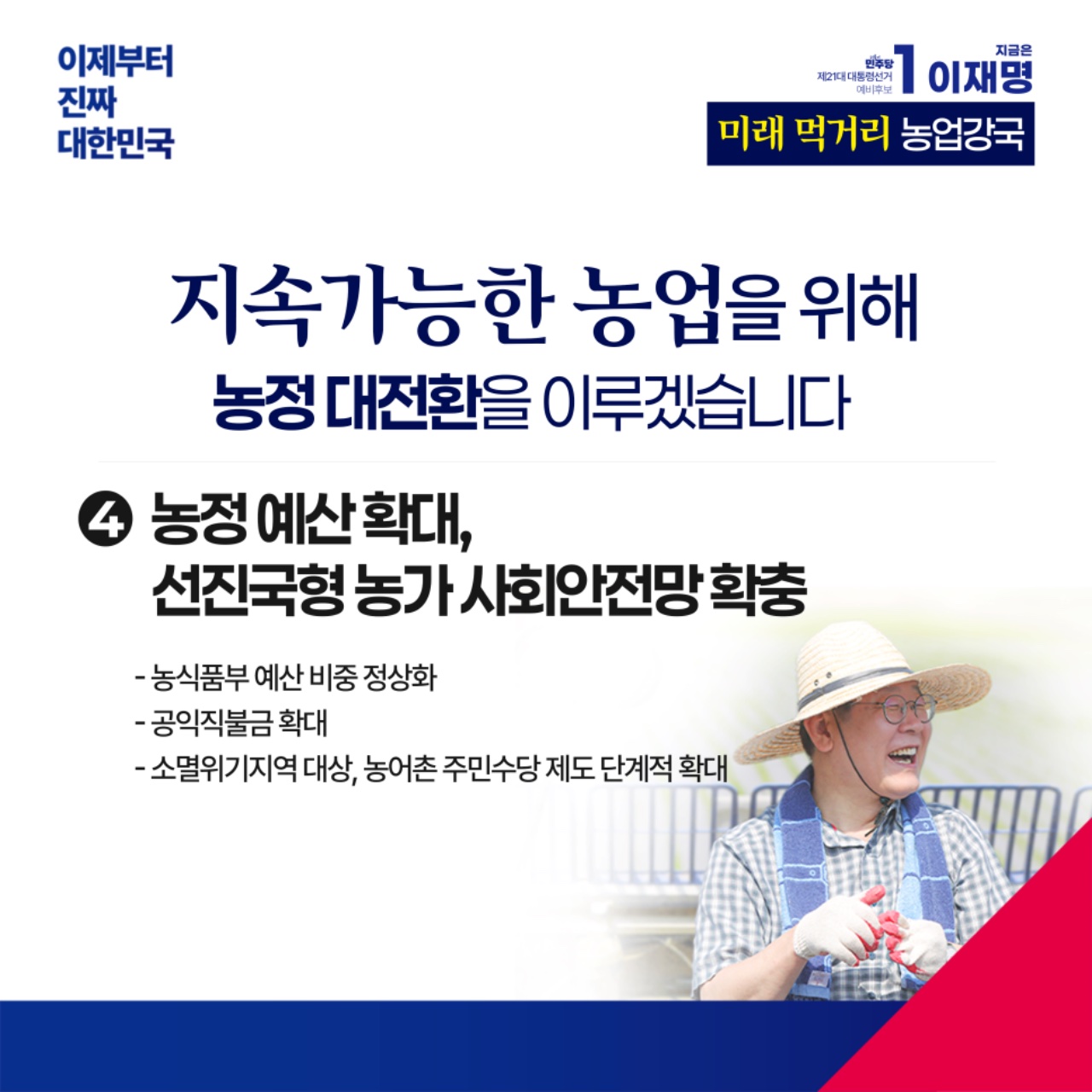 공약 이미지