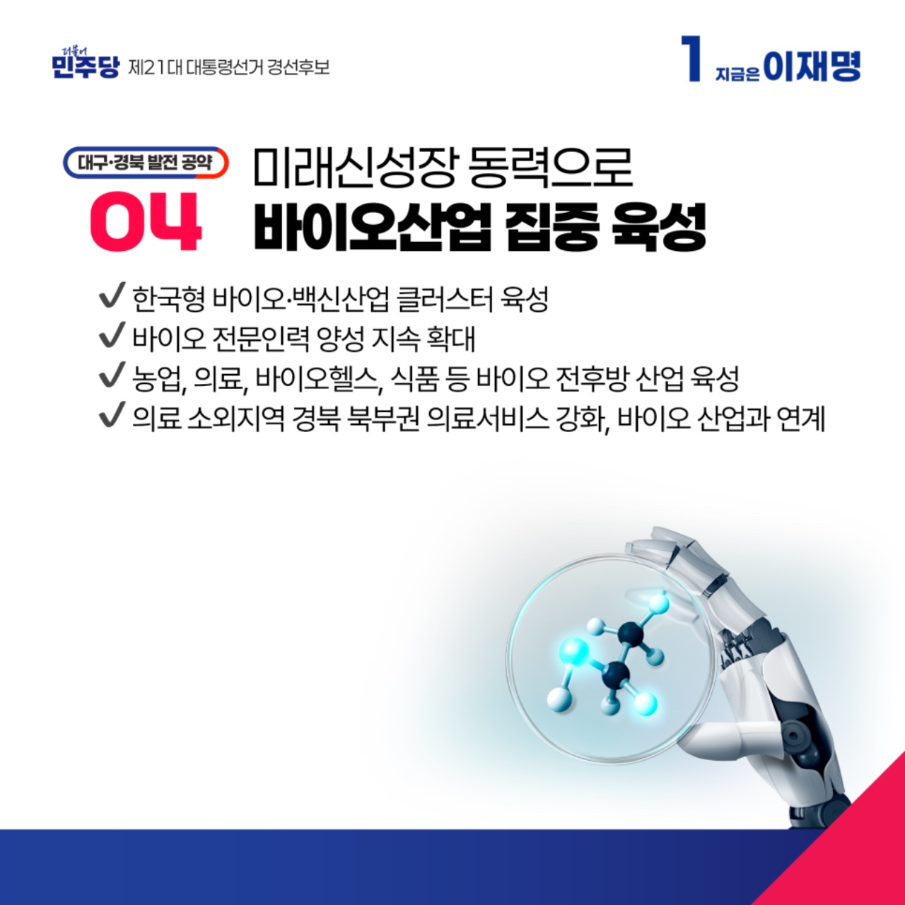 공약 이미지