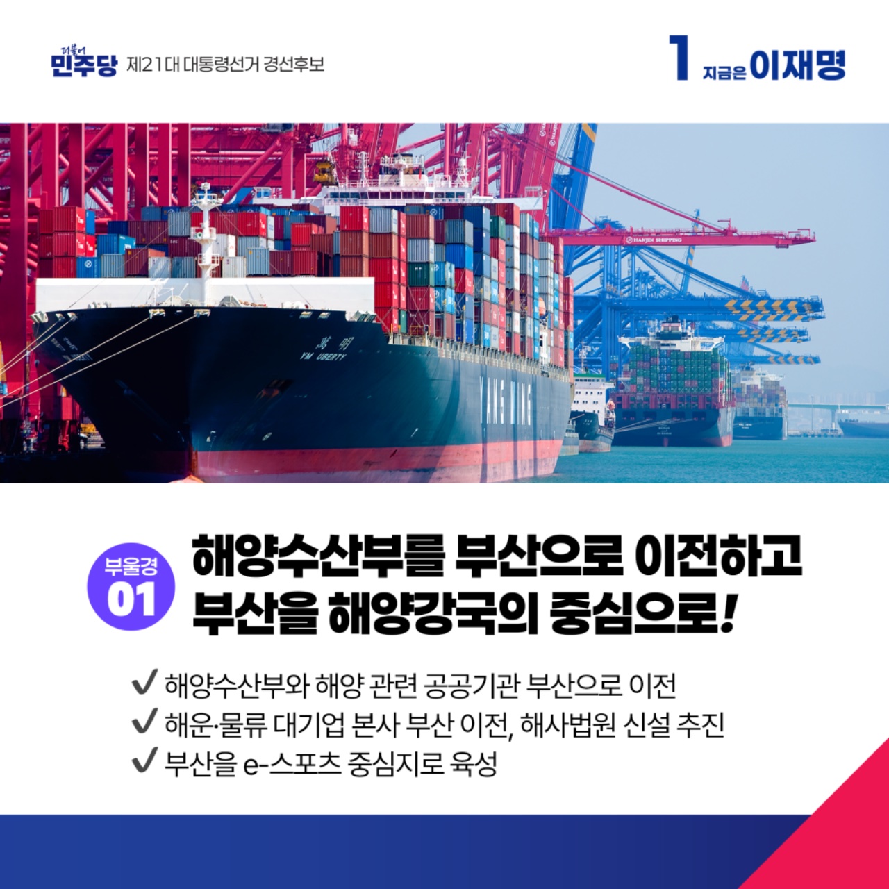공약 이미지