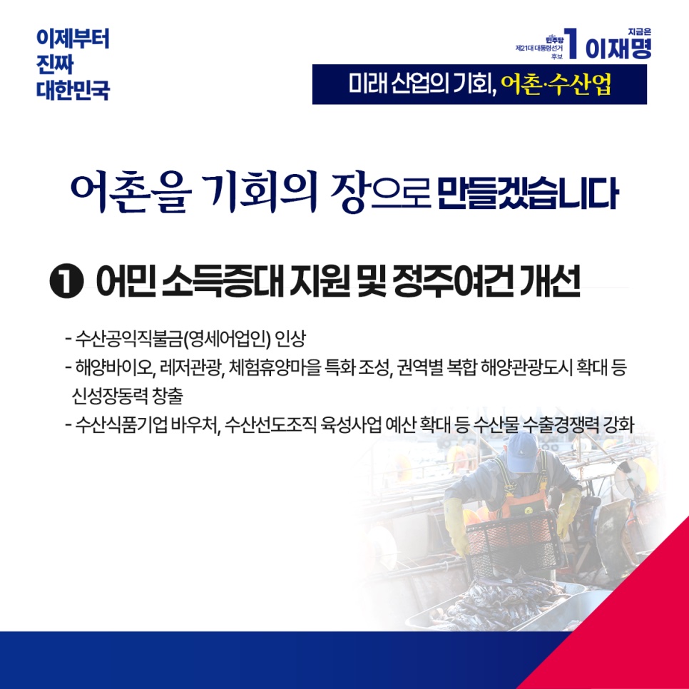 공약 이미지