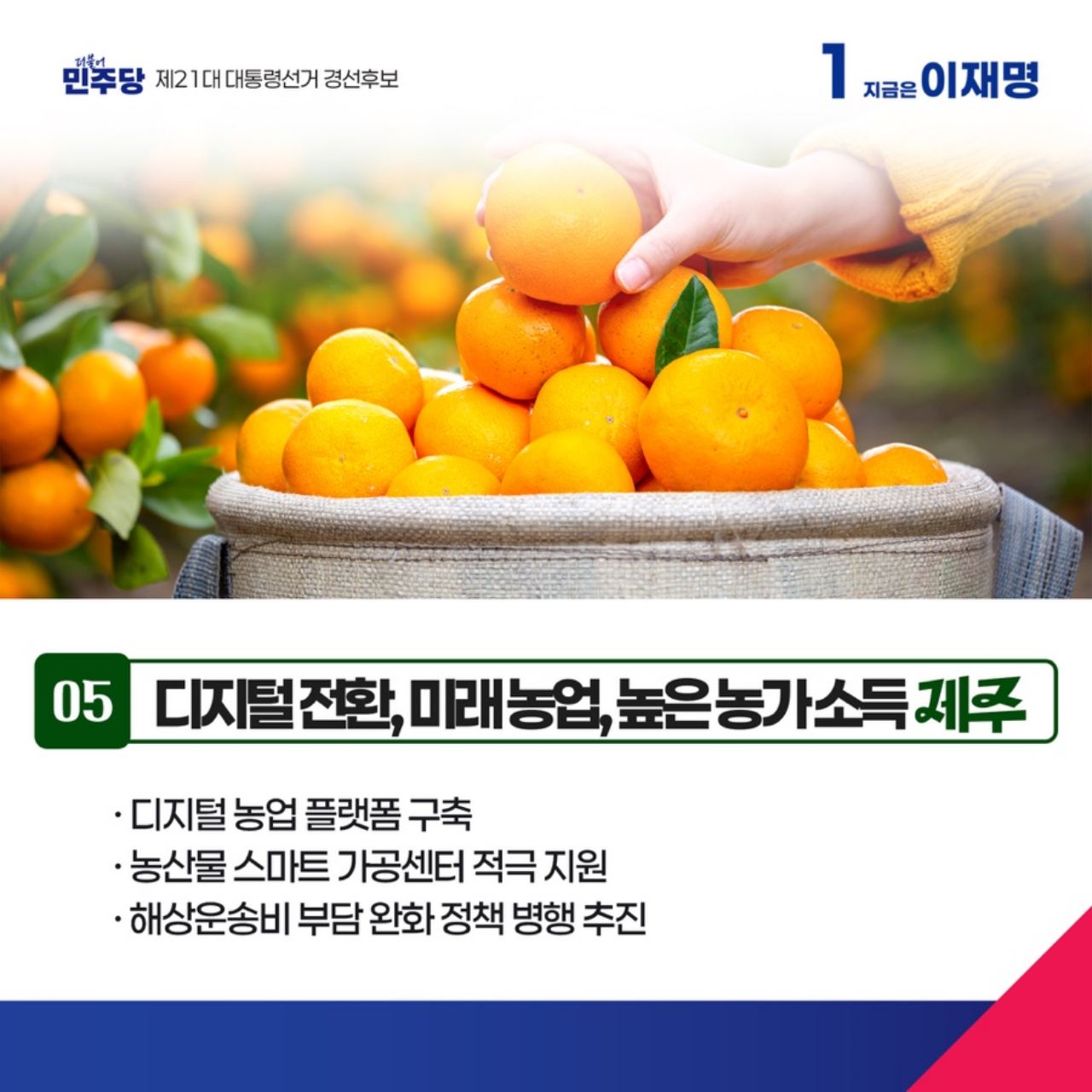공약 이미지