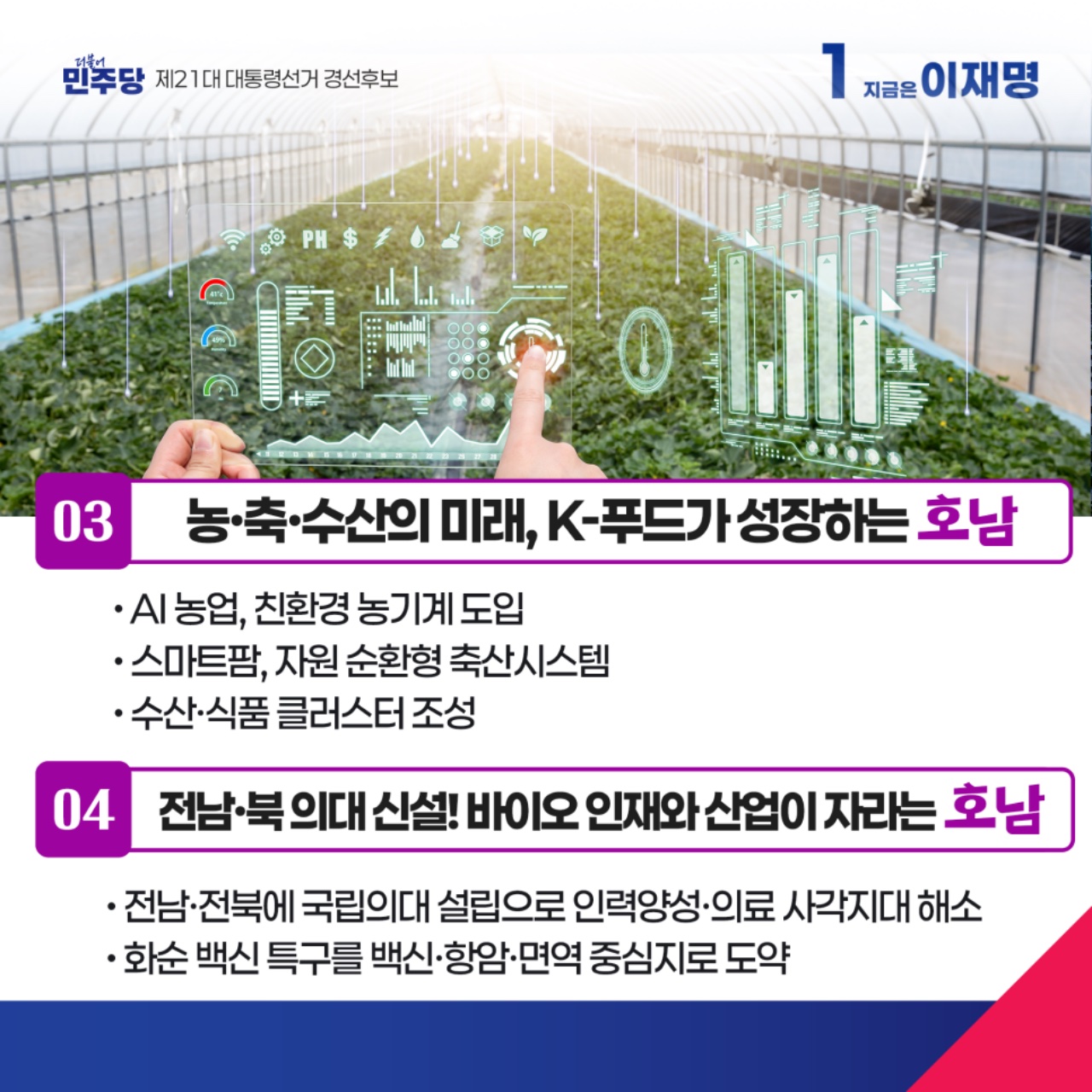 공약 이미지