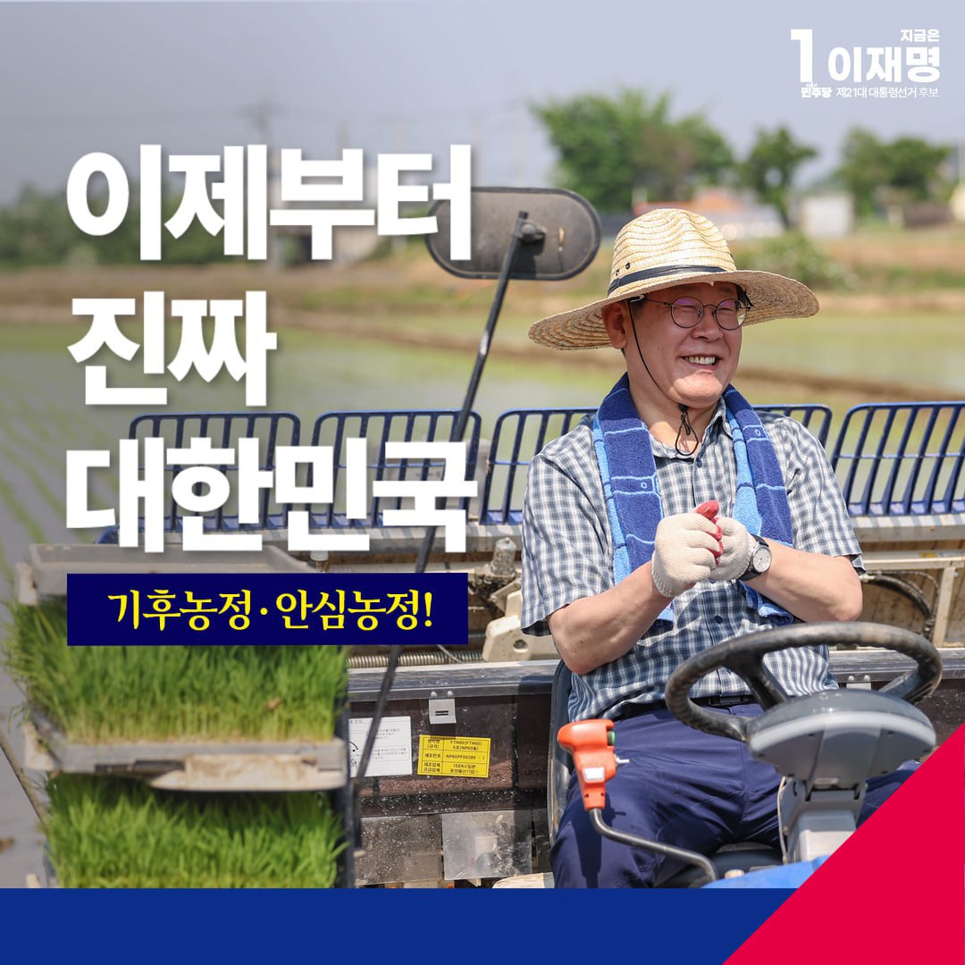 공약 이미지