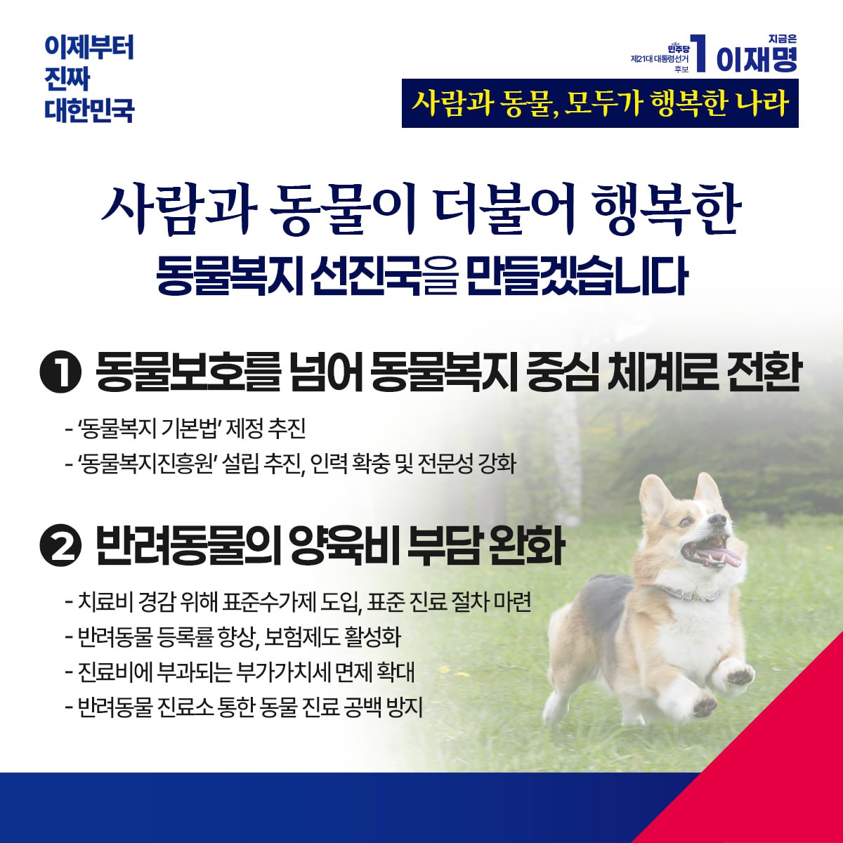 공약 이미지