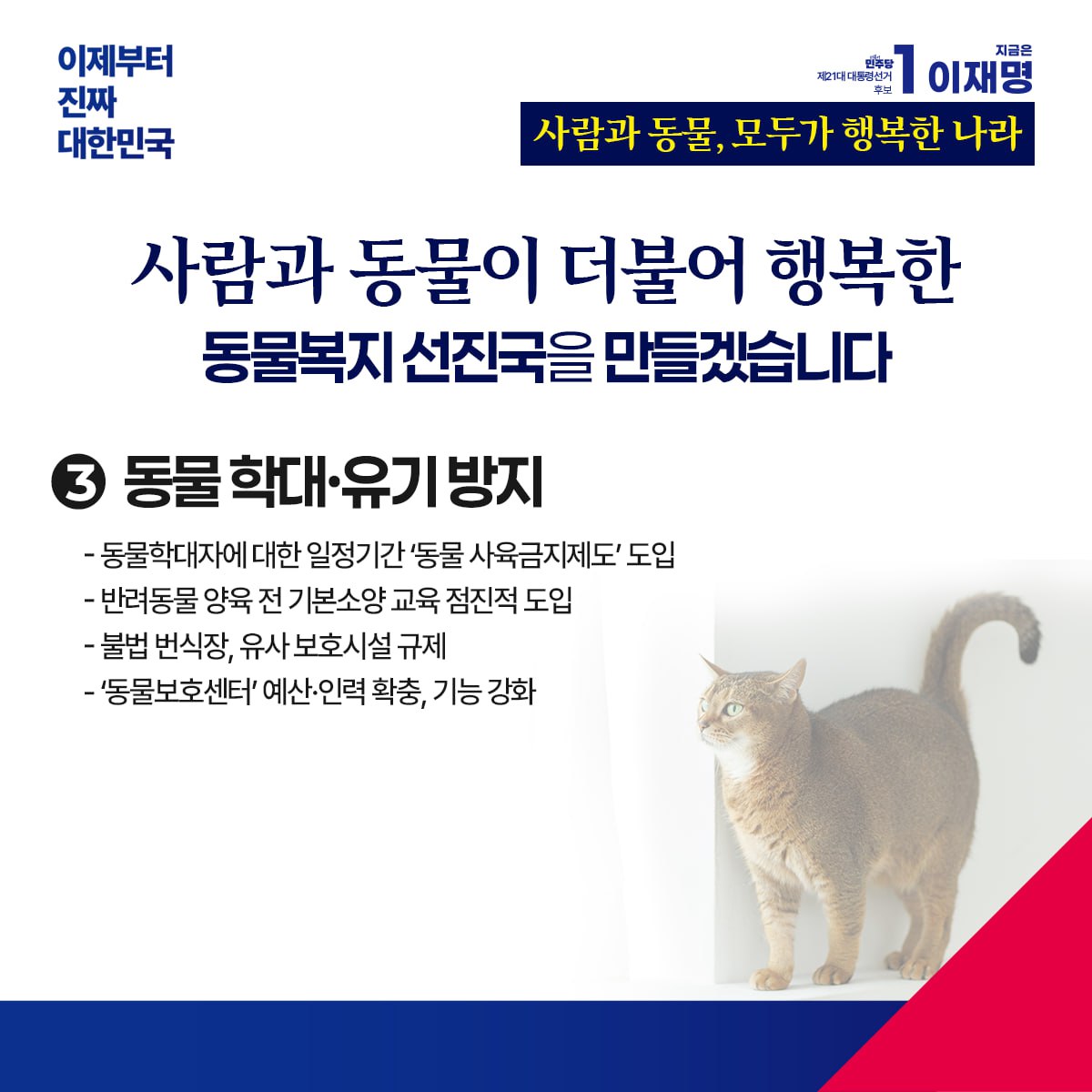 공약 이미지