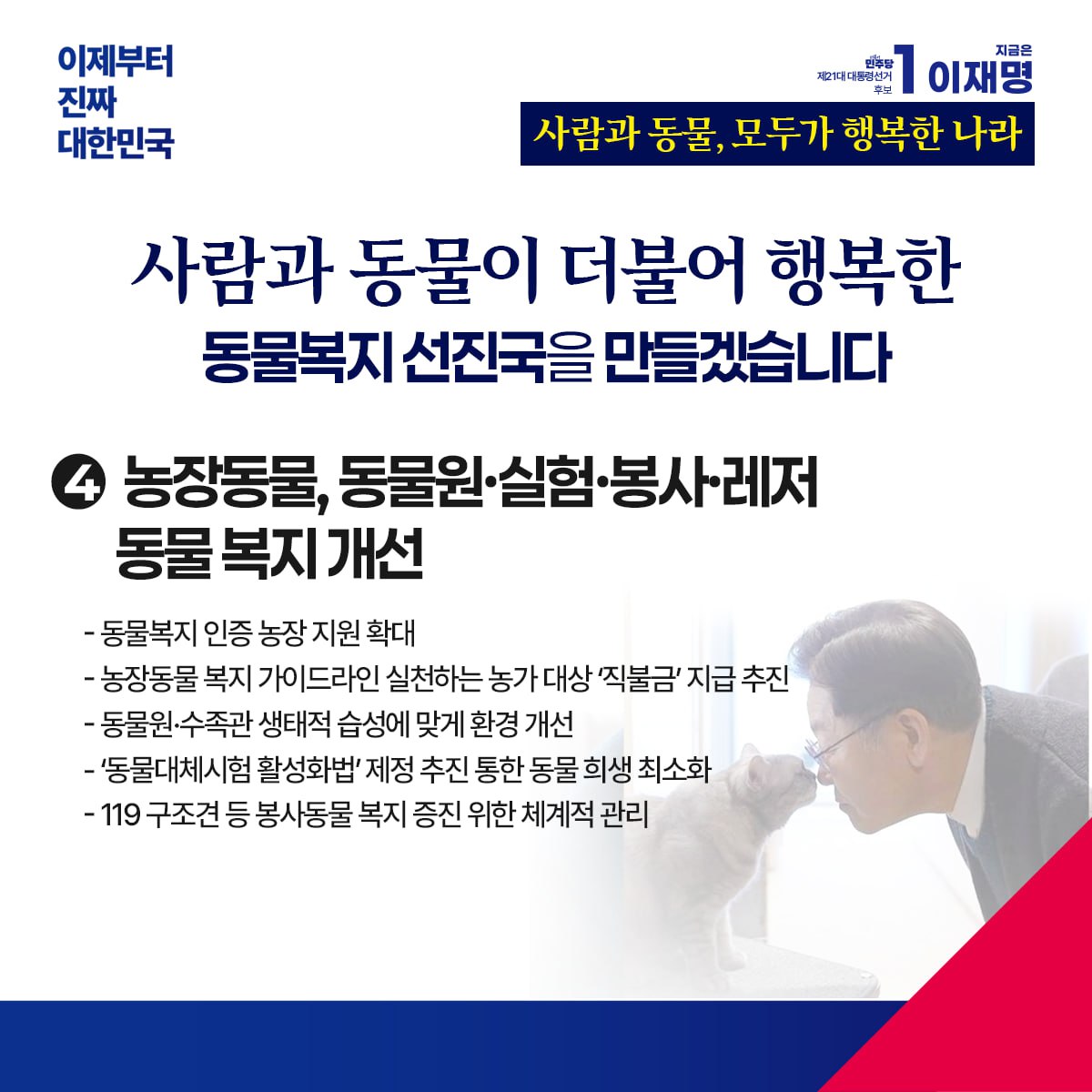 공약 이미지